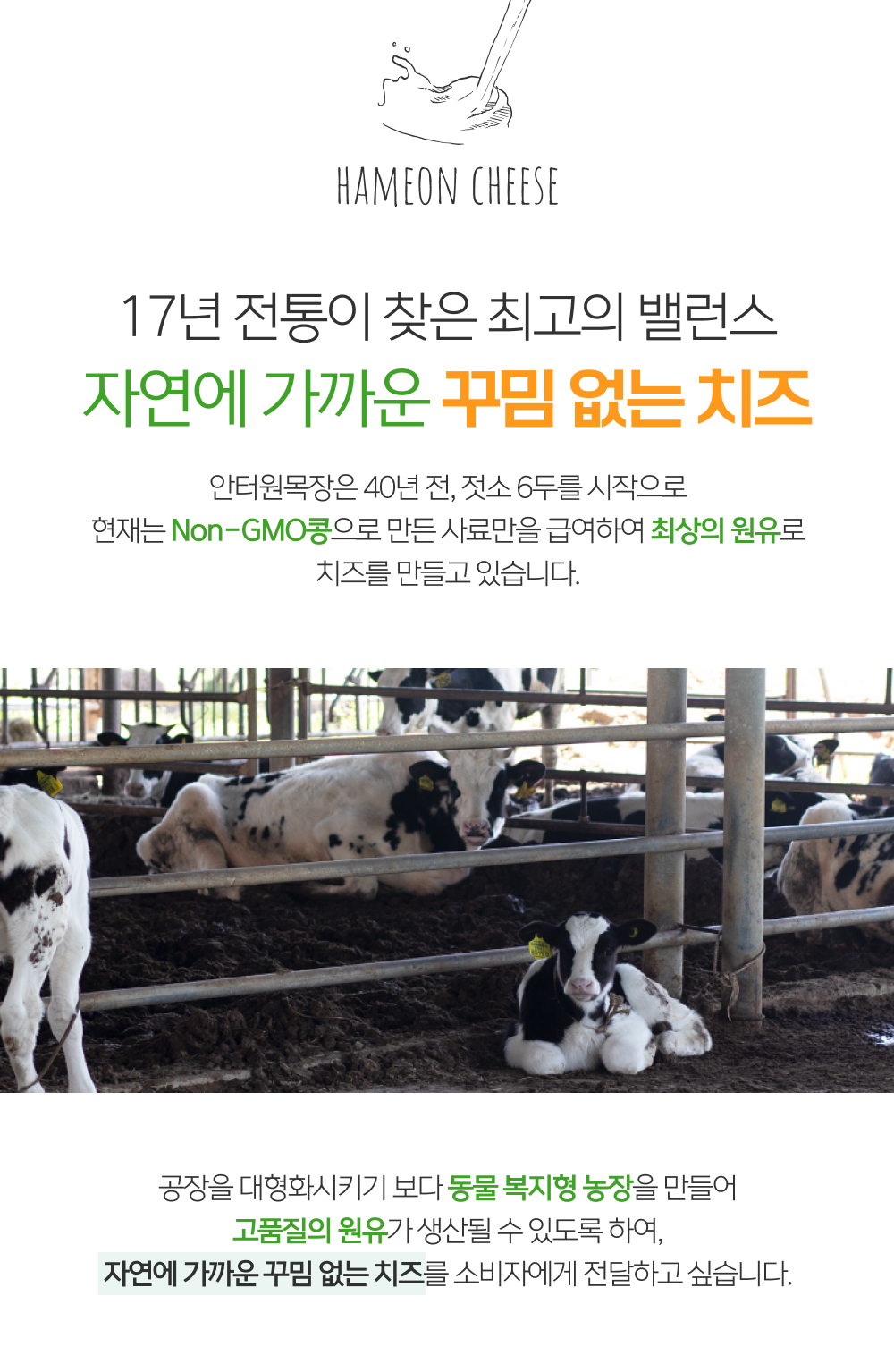 07_꾸임 없는 치즈.jpg